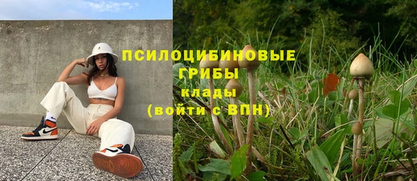 МДМА Гусиноозёрск