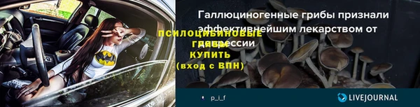 СК Вязники