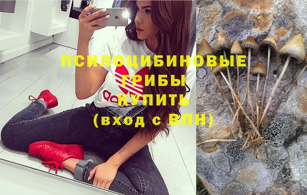 соль курить ск Вяземский