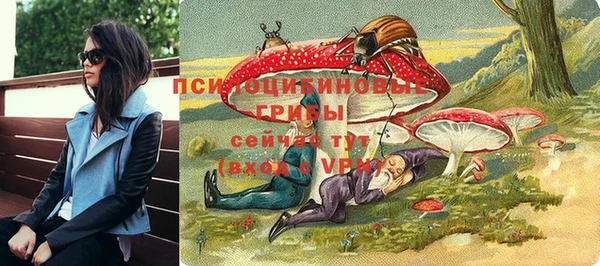 стафф Гусь-Хрустальный