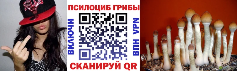 купить наркотики сайты  Ермолино  Псилоцибиновые грибы мухоморы 